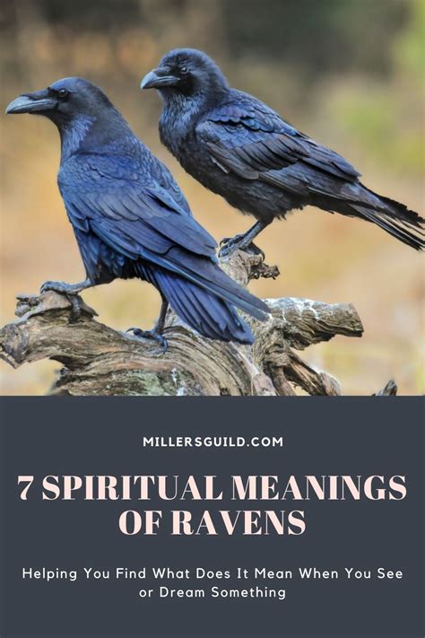 What does seeing a raven mean spiritually?