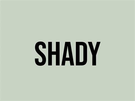 What does shaddy mean? - Definitions.net