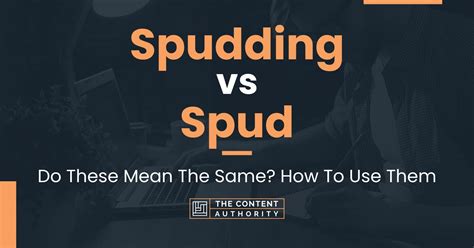 What does spudding mean. Things To Know About What does spudding mean. 
