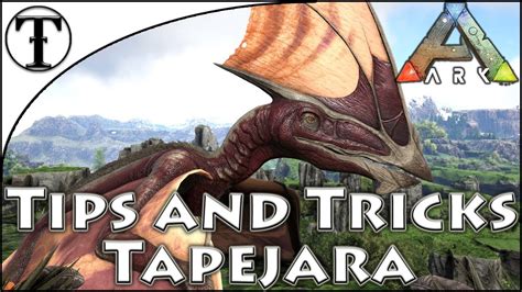 What does tapejara eat ark. In this article, we will take a closer look at the Tapejara’s diet and eating habits. We will also discuss how to tame and care for a Tapejara in Ark: Survival Evolved. Tapejara Diet. The Tapejara is a herbivore that feeds on a variety of plants, including leaves, fruits, and nuts. They are also known to eat insects and small animals. 