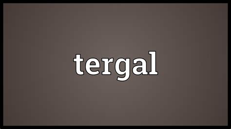 What does tergal mean? - definitions