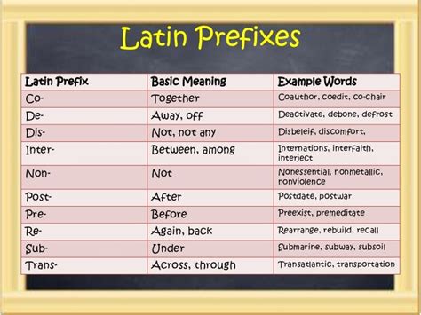 What does the Latin prefix spect mean? - Answers