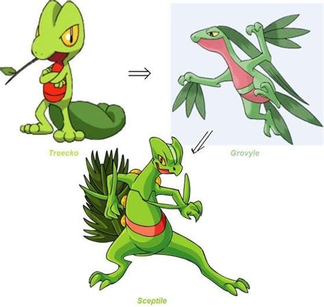 When does Treecko evolve in Pokemon Genera