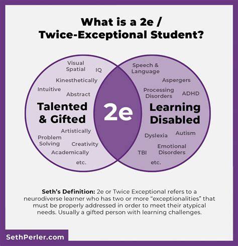 What does twice exceptional 2e mean