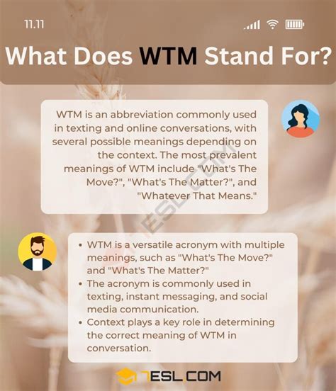 WTM translation, meaning, definition, explanation and examples of relevant words and pictures - you can read here. Other Languages: Tamil . Meaning. WTM means What Matter, What move or Whatever is it . Example. The Internet slang abbreviation for WTM has three meanings, .... 
