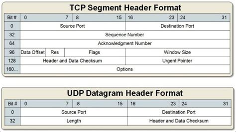 What fields exist in both tcp header and udp header.  Each of these fields is absent in the Expl...