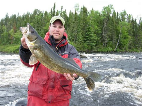 What fish can you catch in Quebec? - Safe Harbor Fishing