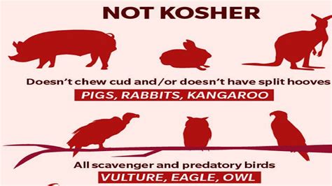 What foods are not kosher. 2) We may suggest reasons for Kashrut, for example, we are what we eat, and therefore we only eat domesticated animals so that we have good character traits from the food. Eating wild animals would give us wild character traits. Kosher animals are cleaner. 3) These laws enable us to attain the ideal of holiness. 