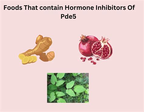 What foods contain pde5 inhibitors. Things To Know About What foods contain pde5 inhibitors. 