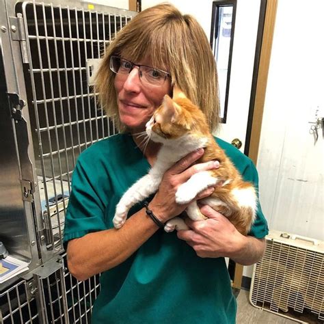 What happened to andrea on dr pol. Oct 14, 2019 · Join Andrea (who recently celebrated 23 years at PVS)... Dr. Pol · October 14, 2019 · It's National Veterinary Technician Week ... 