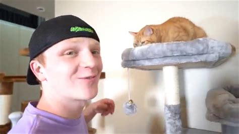 Who Made The 'Cat Blender Video?' As of right now, it is cu