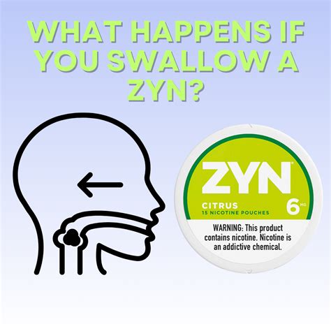 What happens if you swallow zyn. Zyns Ingredient Analysis. The ingredients in Zyn pouches are shown above. There are two ingredients that may be worth avoiding for health-conscious consumers. Acesulfame K is an artificial sweetener shown. in clinical research to have negative effects on the gut microbiome and to cause weight gain. 