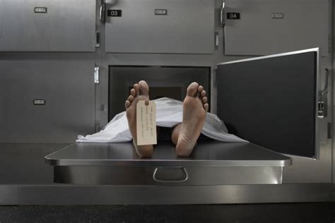 What happens in the morgue when you die. .  <a href=https://dbadmin.on-forge.com/assets...