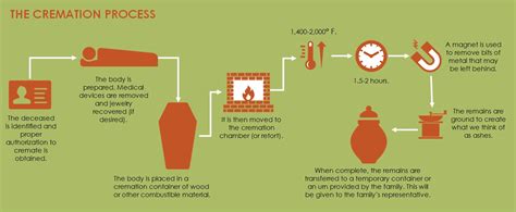 What happens to the body in the cremation process.  Learn about the pro...