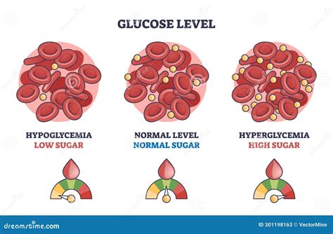 What happens when glucose level is high