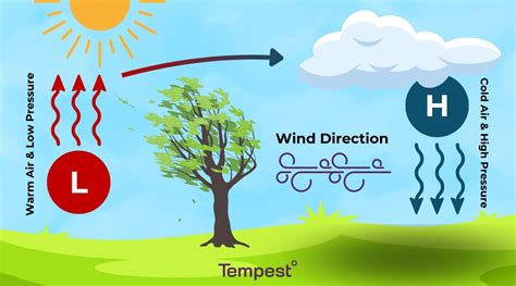 What happens when the wind changes direction