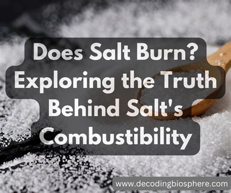 What happens when you burn salt? - Quora