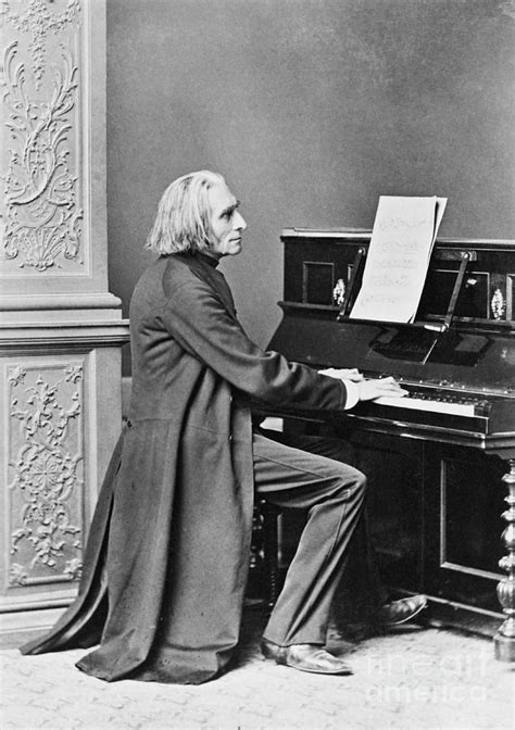 What instruments did franz liszt play