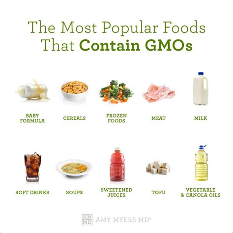 What is A GMO? Why You Need To Know Amy Myers MD