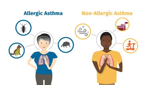 What is Allergic Asthma? Allergy & Asthma Network