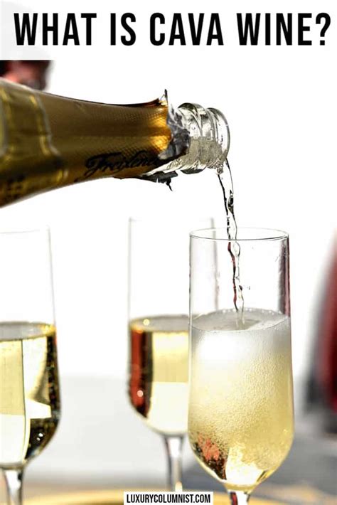 What is Cava? A Detailed Guide to Spanish Sparking …