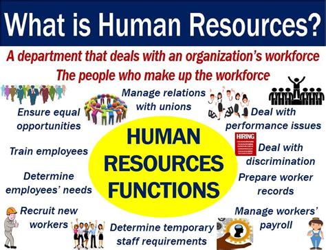 What is Co-employment? HR Definitions & Examples