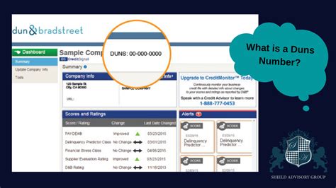 What is DUNS Number & Net Terms? YouTube