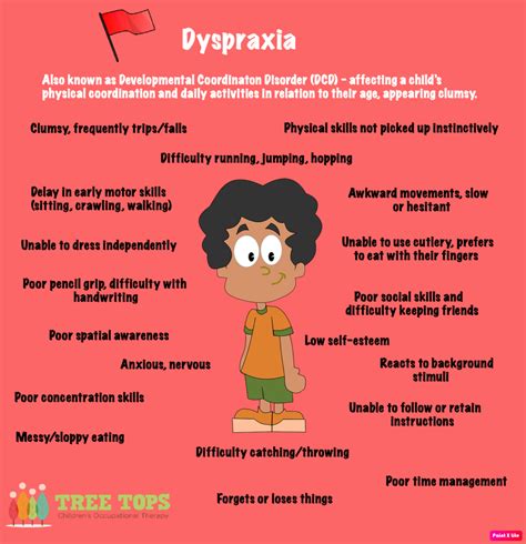 What is Dyspraxia and How Does it Impact my Child?