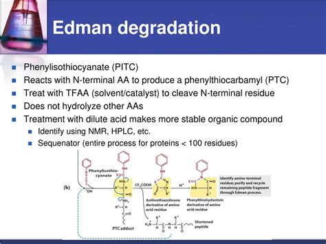 What is Edman