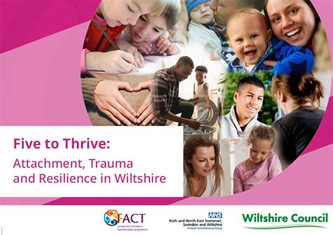 What is Five to Thrive - Wiltshire Council