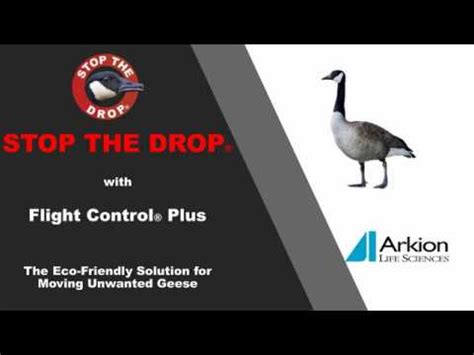 What is Flight Control® Plus? - YouTube