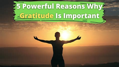 What is Gratitude and Why Is It So Important?