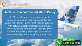 What is Jetblue Minor Policy