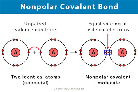 What is Nonpolar Covalent Bond