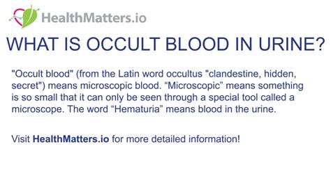 What is Occult Blood in Urine? - Healthmatters