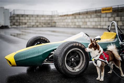 th?q=What+is+Oscar+Tango+Mike