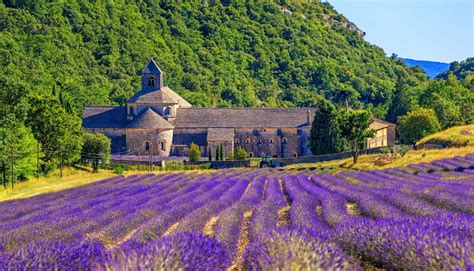 What is Provence most known for