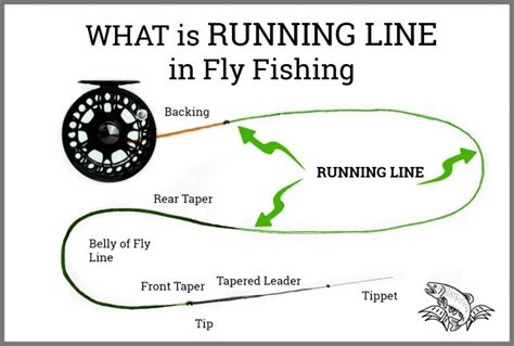 What is RUNNING Line in Fly Fishing: Is it Different than