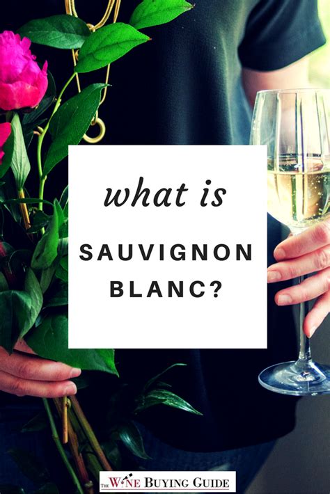 What is Sauvignon Blanc? TheWineBuyingGuide.com