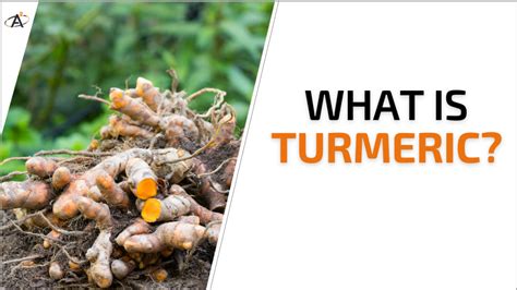 What is Turmeric Why is it effective Active Atoms .