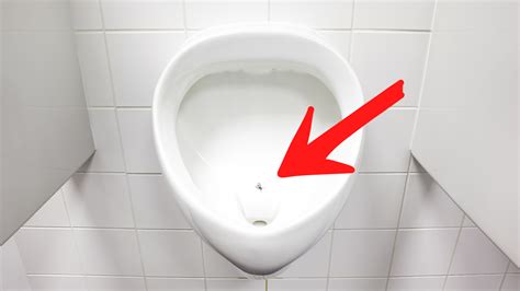 What is a 'urinal fly' and what is its purpose?
