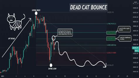 What is a Crypto Dead Cat Bounce? - Crypto Adventure