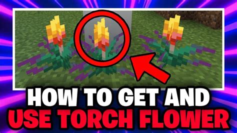 What is a Flower in Minecraft How to get and Use it 