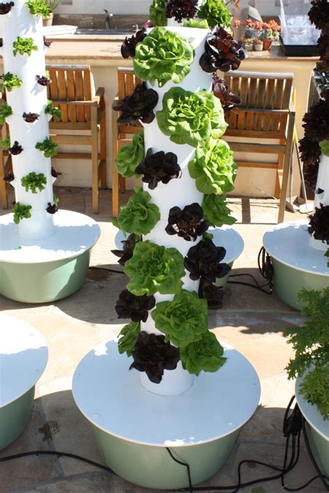 What is a Hydroponic Tower? + How to Make Your Own