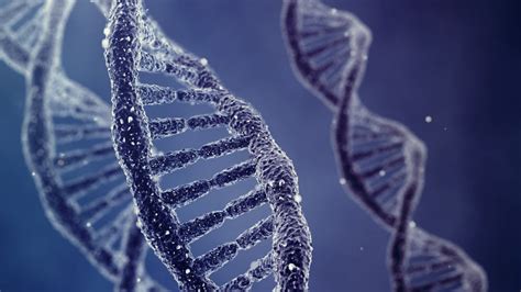What is a Locus and What Does it Have to Do with my DNA Test Results