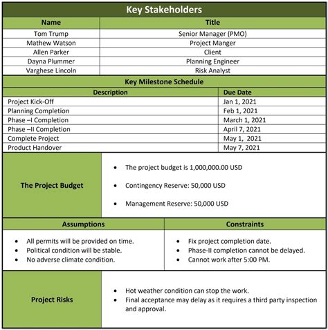 What is a Project Charter Definition, Examples & Templates