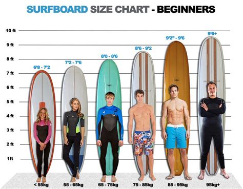 What is a Surfboard