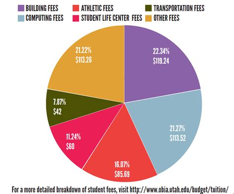 What is a college student fee