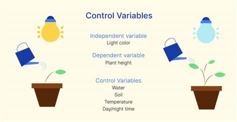What is a control variable. Things To Know About What is a control variable. 