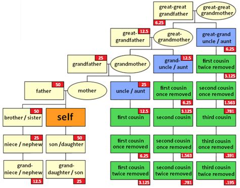 What is a cousin twice removed. If Ben were to have a child it would be Harry’s Second Cousin Once Removed and Max’s First Cousin twice removed. The chart above is really helpful for all of the other relationships too. Just replace the “Self” with the person you want to start with, it could be you or could be anyone else then work your way to the person you want to find a … 